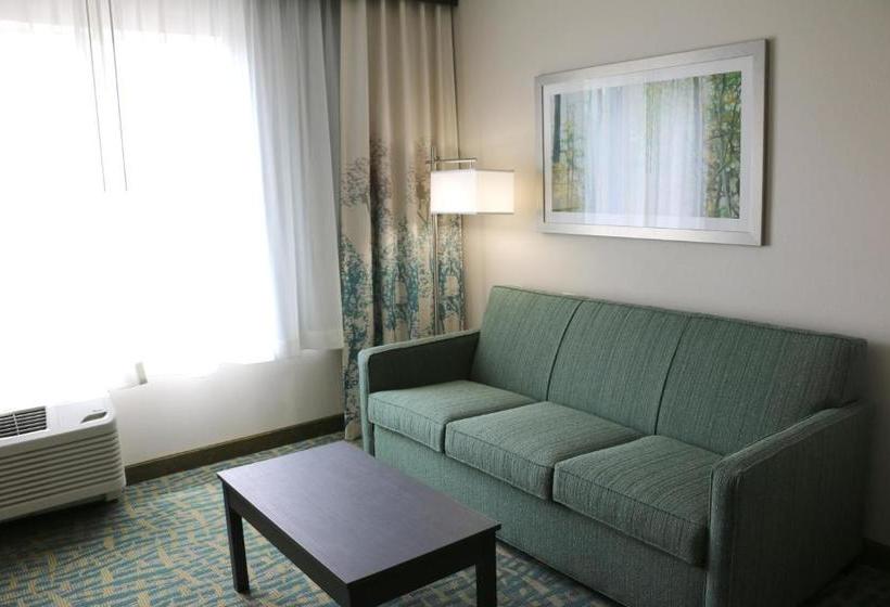 ホテル Holiday Inn Express & Suites   Hendersonville Se   Flat Rock, An Ihg