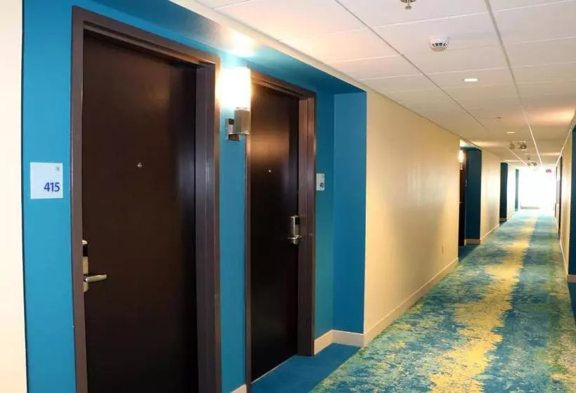 ホテル Holiday Inn Express & Suites   Hendersonville Se   Flat Rock, An Ihg