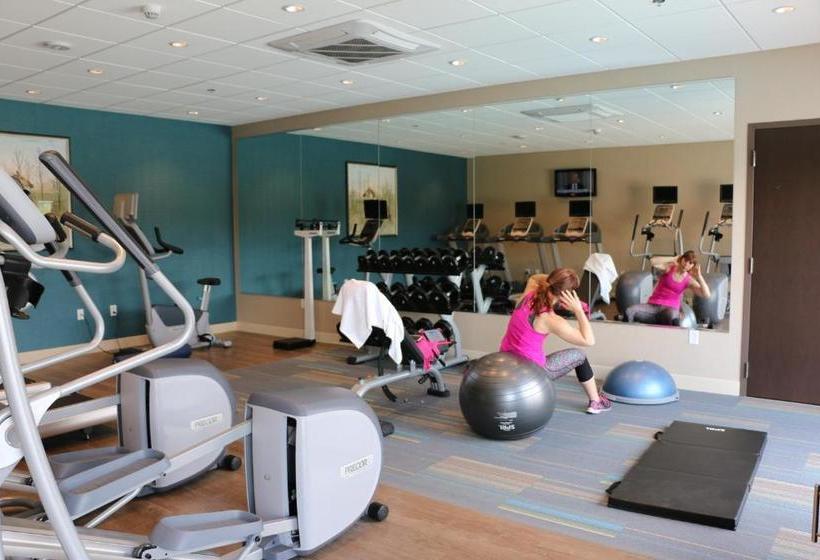 ホテル Holiday Inn Express & Suites   Hendersonville Se   Flat Rock, An Ihg