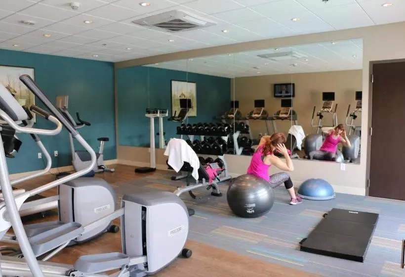 ホテル Holiday Inn Express & Suites   Hendersonville Se   Flat Rock, An Ihg