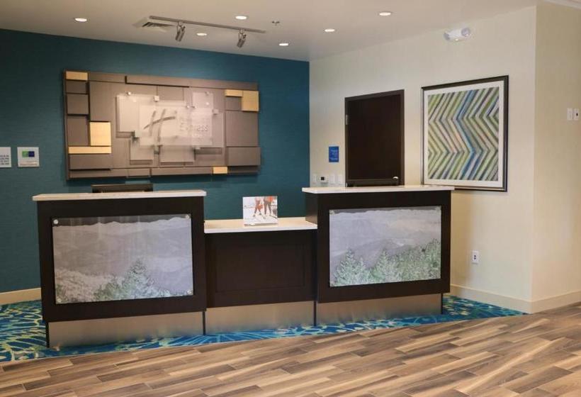 ホテル Holiday Inn Express & Suites   Hendersonville Se   Flat Rock, An Ihg