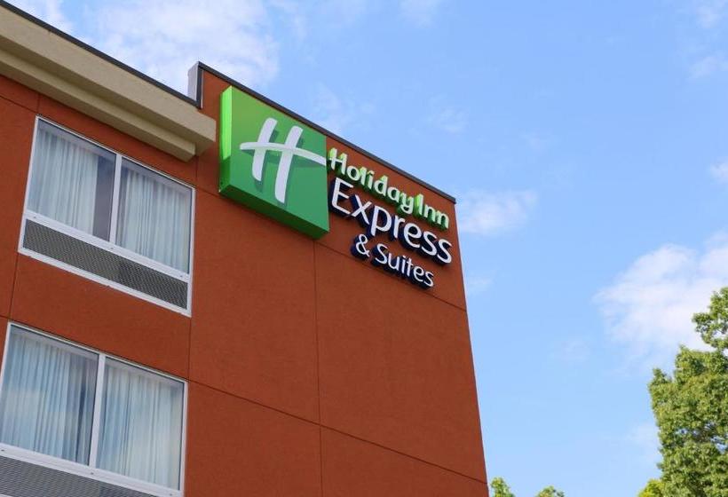 ホテル Holiday Inn Express & Suites   Hendersonville Se   Flat Rock, An Ihg