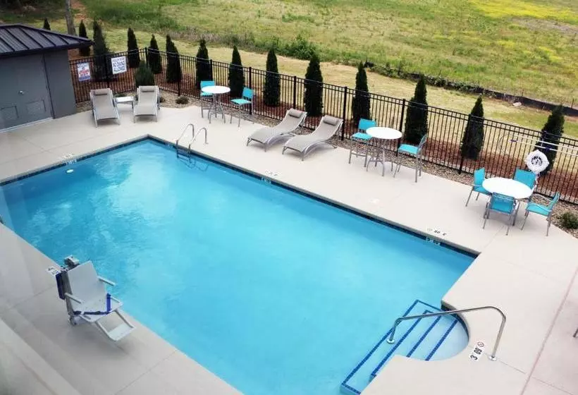 ホテル Holiday Inn Express & Suites   Hendersonville Se   Flat Rock, An Ihg
