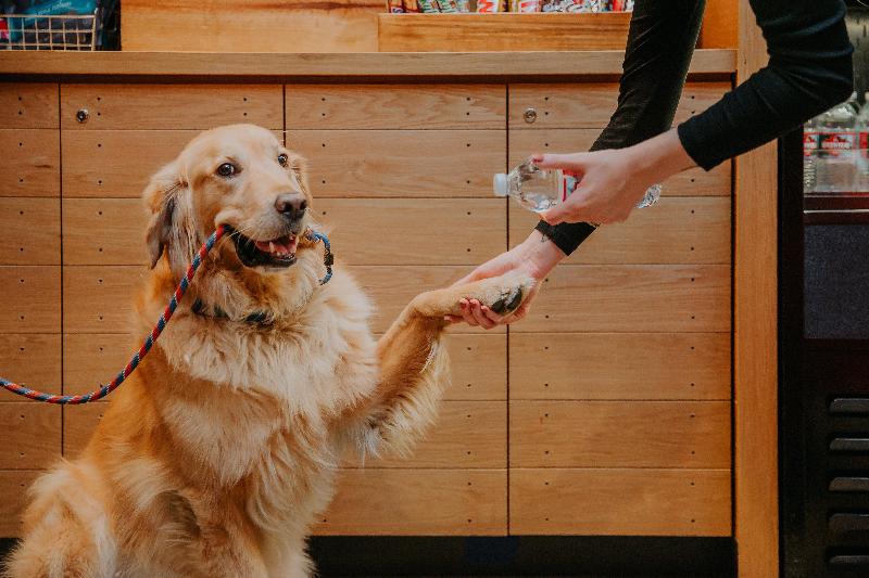 هتل Indigo Denver Downtown Union Station, An Ihg