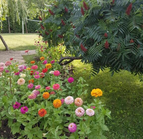 호텔 Liani  All Inclusive