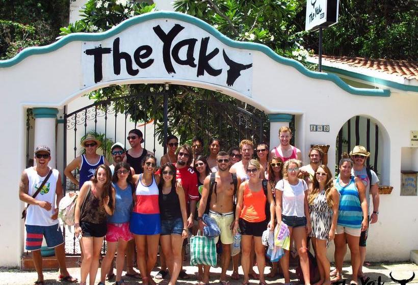 בית מלון כפרי The Yak Hostel