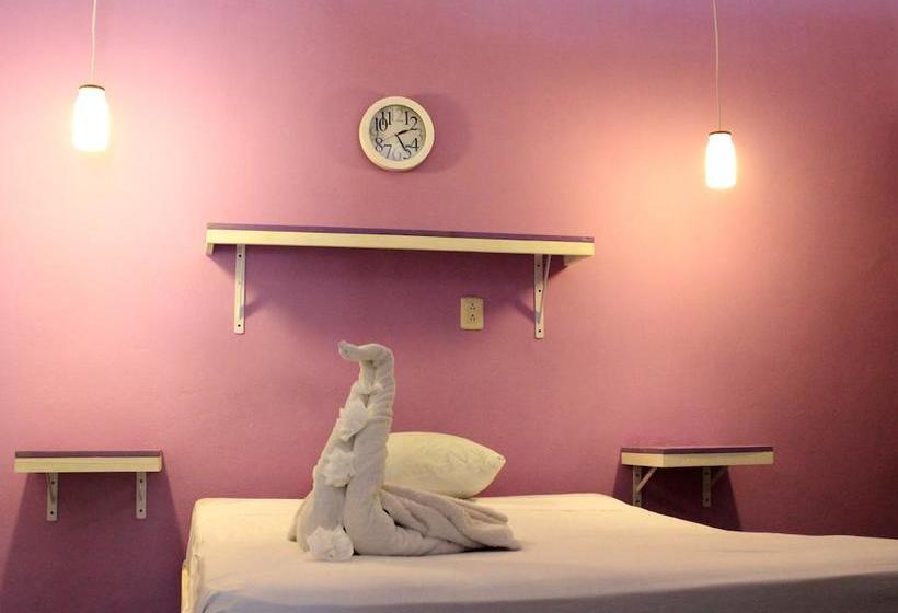 בית מלון כפרי The Yak Hostel