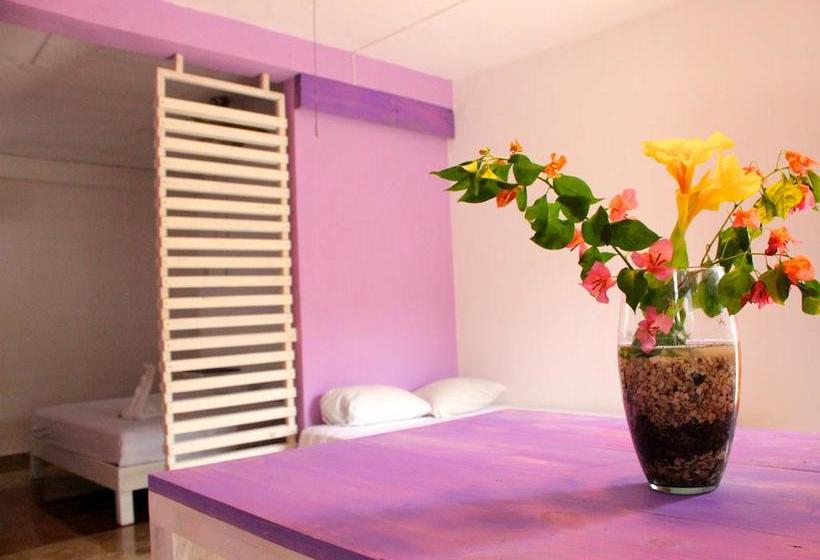 בית מלון כפרי The Yak Hostel