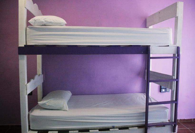 בית מלון כפרי The Yak Hostel