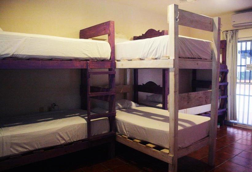 בית מלון כפרי The Yak Hostel