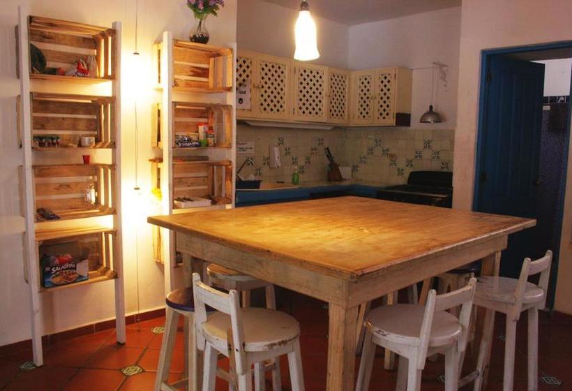 בית מלון כפרי The Yak Hostel