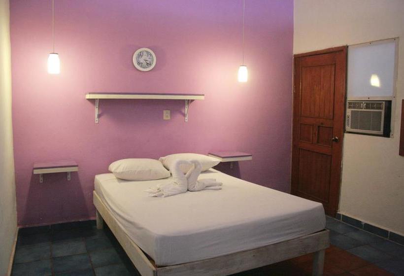 בית מלון כפרי The Yak Hostel