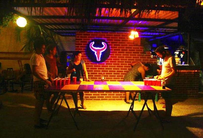 בית מלון כפרי The Yak Hostel