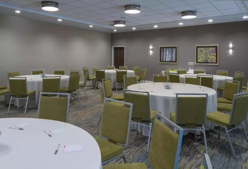 ホテル Towneplace Suites By Marriott Chicago Schaumburg