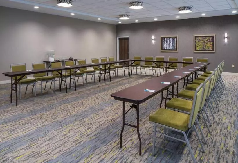 ホテル Towneplace Suites By Marriott Chicago Schaumburg