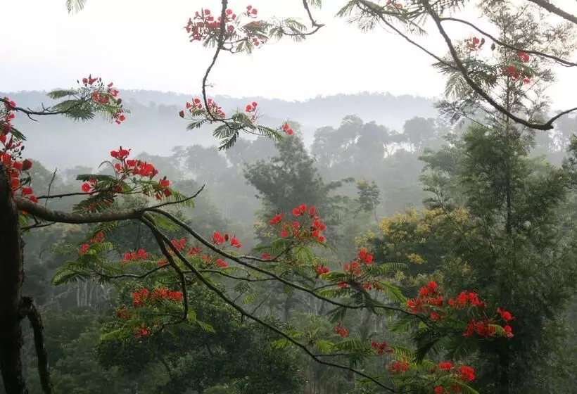 ホテル Tranquil Resort Wayanad