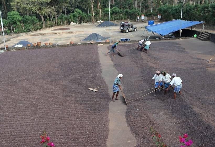 בית מלון כפרי Tranquil Resort Wayanad