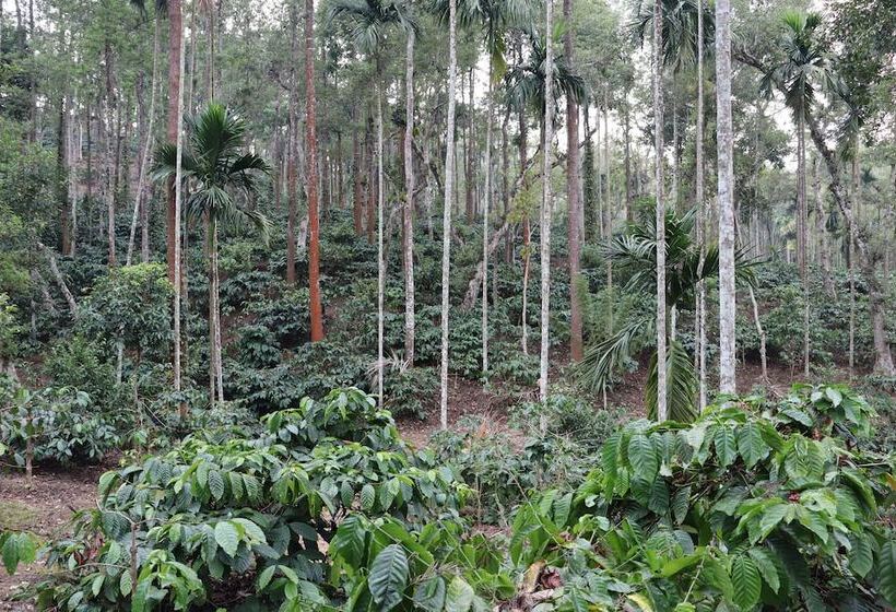 בית מלון כפרי Tranquil Resort Wayanad