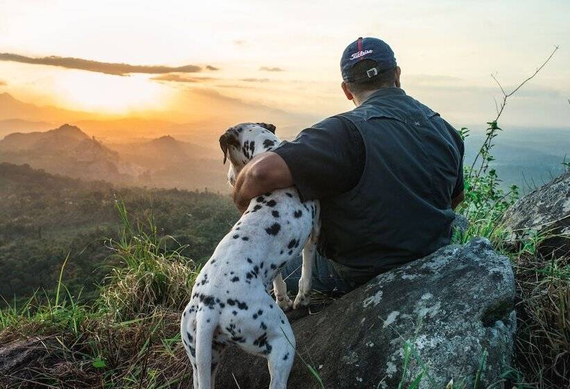 בית מלון כפרי Tranquil Resort Wayanad