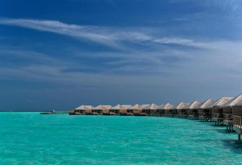 استراحتگاه Cocoon Maldives  All Inclusive
