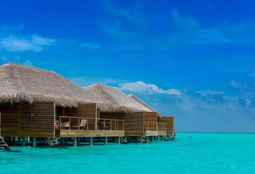 استراحتگاه Cocoon Maldives  All Inclusive