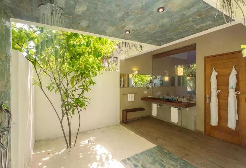 استراحتگاه Cocoon Maldives  All Inclusive