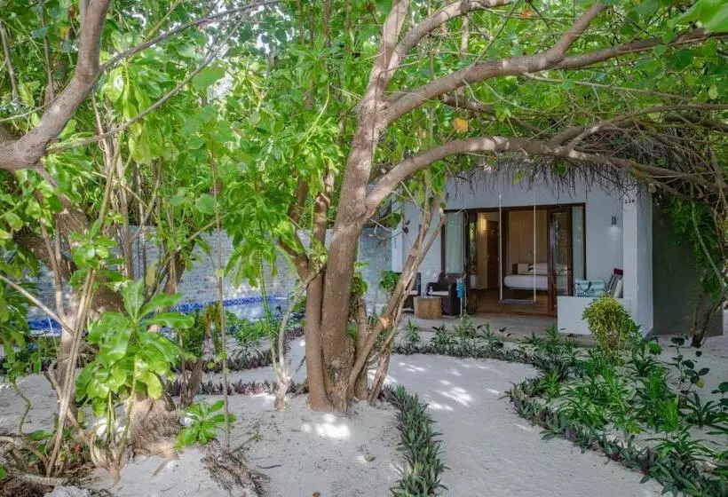 استراحتگاه Cocoon Maldives  All Inclusive