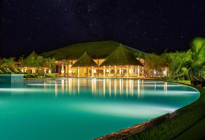 استراحتگاه Cocoon Maldives  All Inclusive