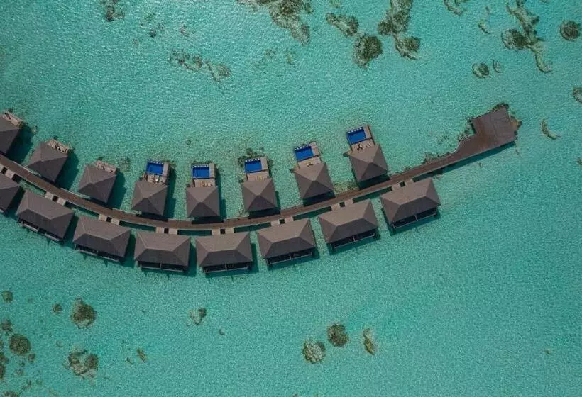 استراحتگاه Cocoon Maldives  All Inclusive