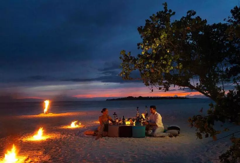 استراحتگاه Cocoon Maldives  All Inclusive
