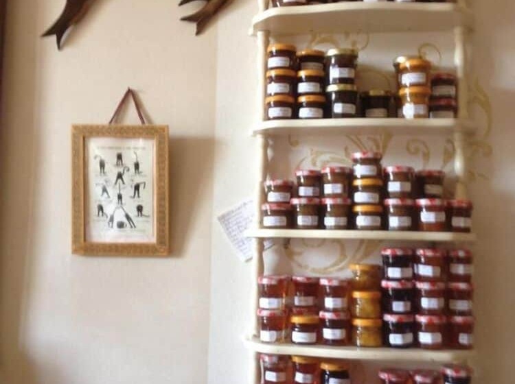 צימר Chambres D'hôtes Des 3 Rois