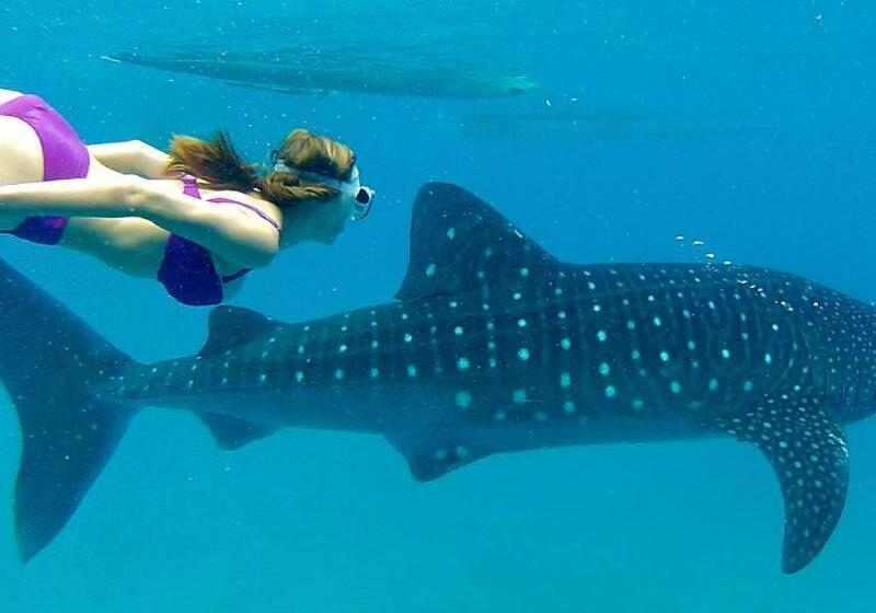 住宿加早餐 Gt Seaside Inn