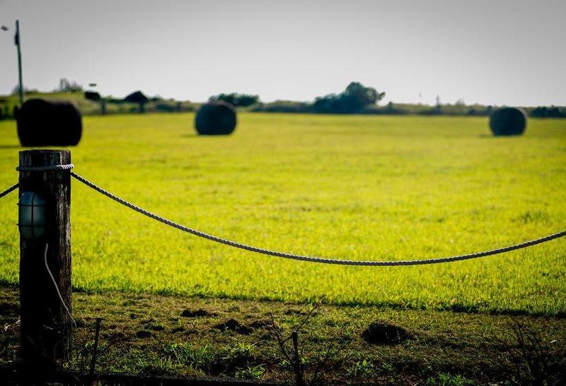 تختخواب و صبحانه Kenting Summerland Garden Resort