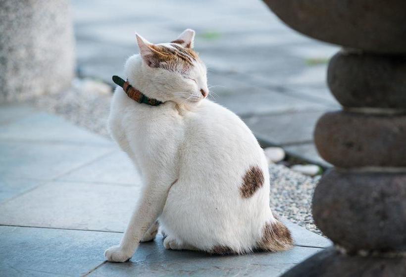 تختخواب و صبحانه Kenting Summerland Garden Resort