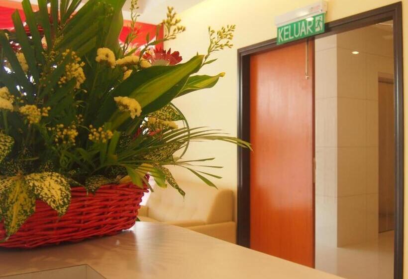 118 Hotel Macalister