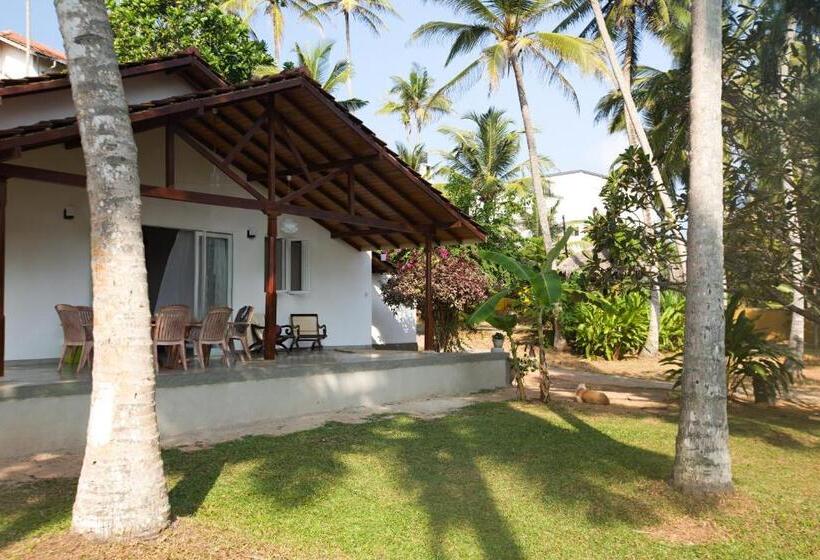 בית מלון כפרי Land's End Villa