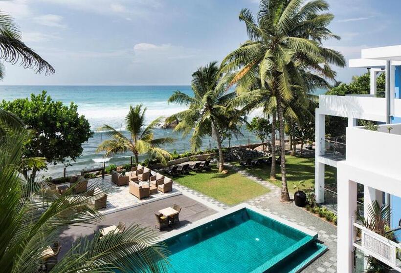 Owl And The Pussycat Hotel & Restaurant