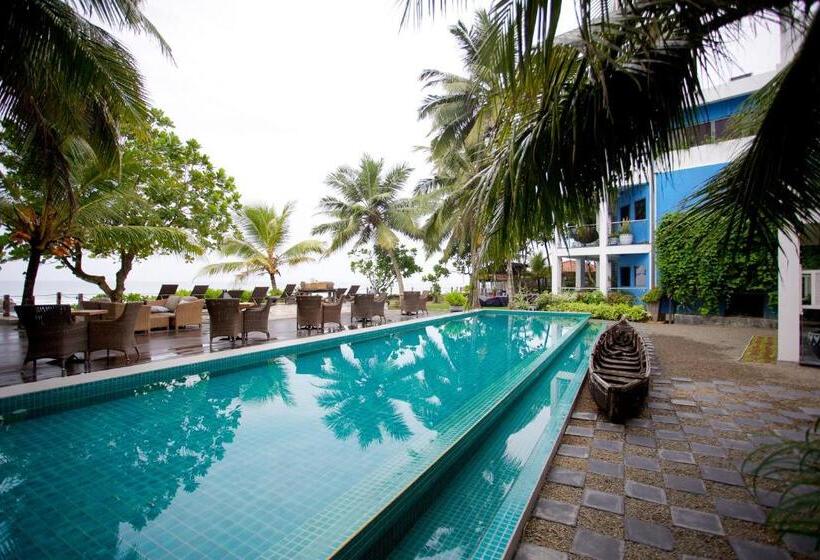 Owl And The Pussycat Hotel & Restaurant