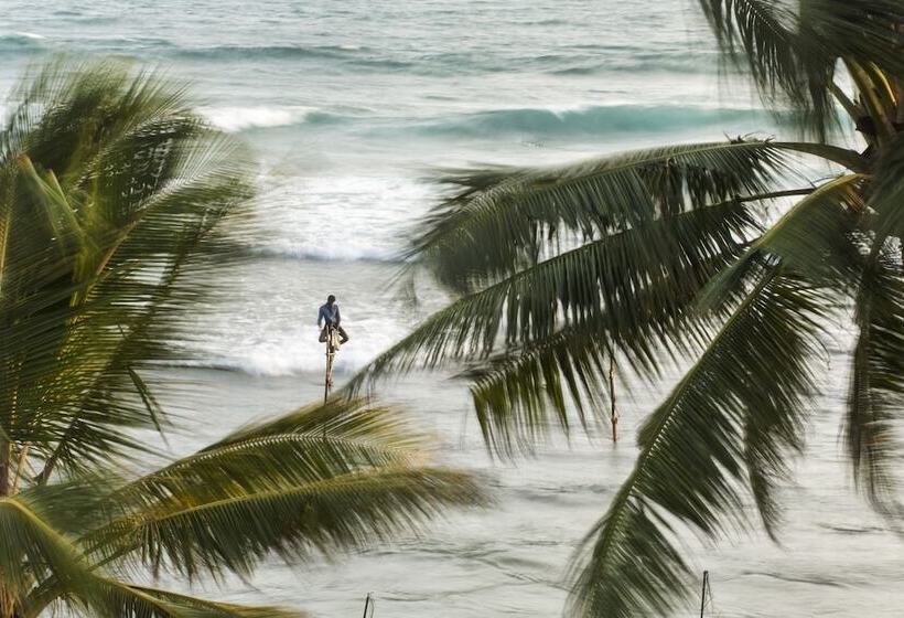 Owl And The Pussycat Hotel & Restaurant