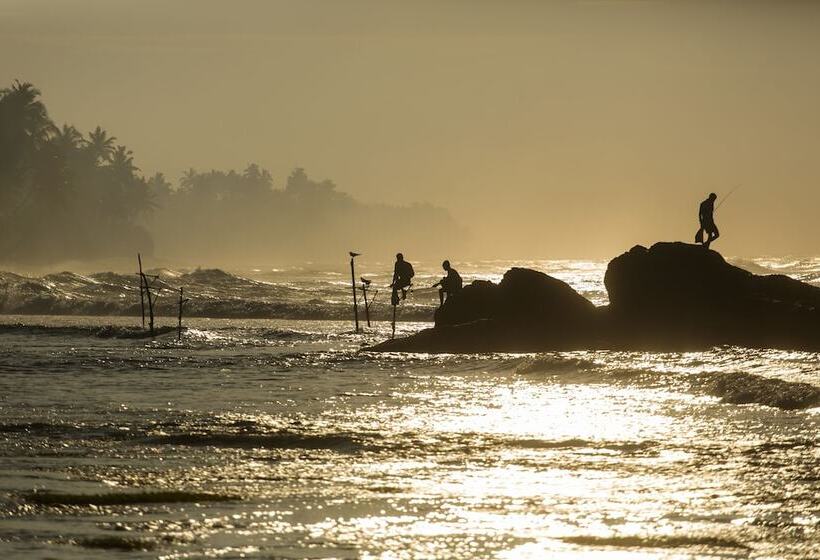 Owl And The Pussycat Hotel & Restaurant