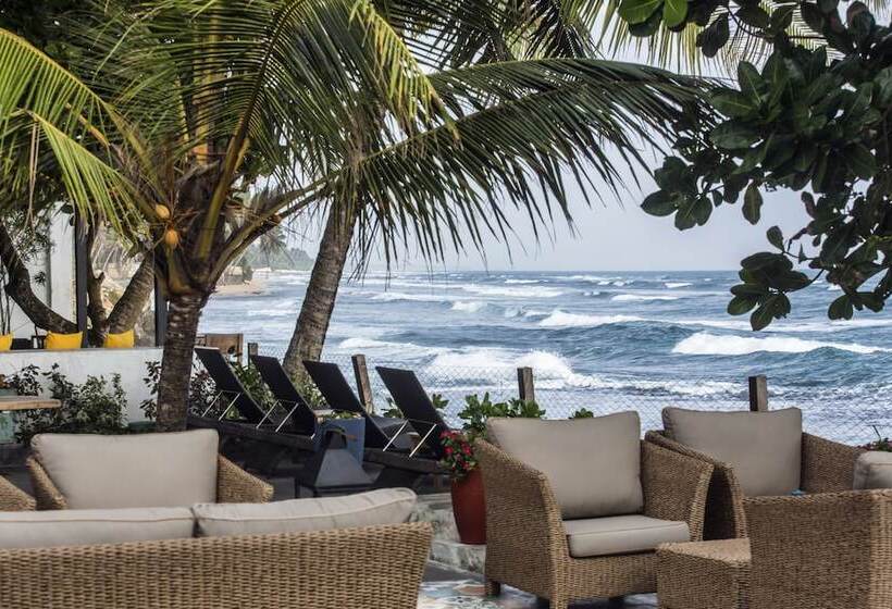 Owl And The Pussycat Hotel & Restaurant