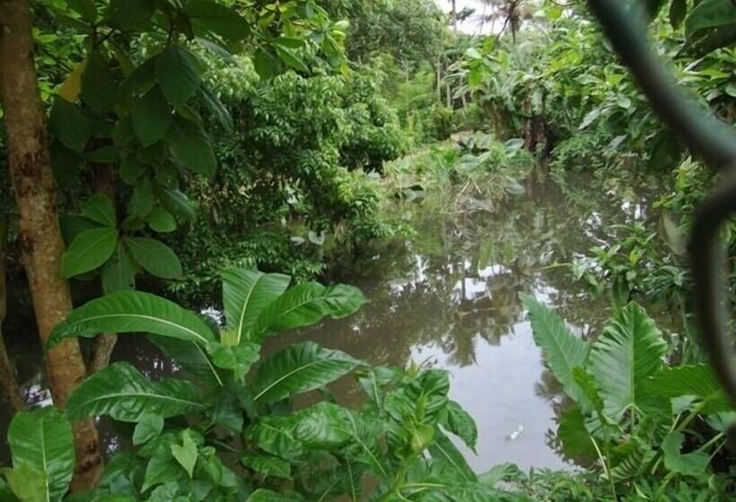 Hotel Riverside Cabanas