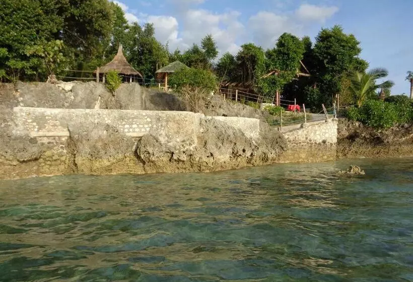 ホテル Sea Turtle House