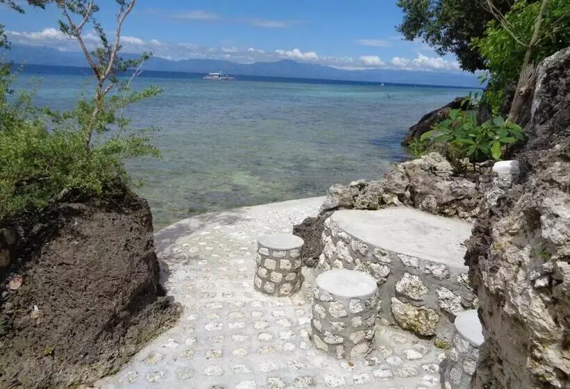 ホテル Sea Turtle House