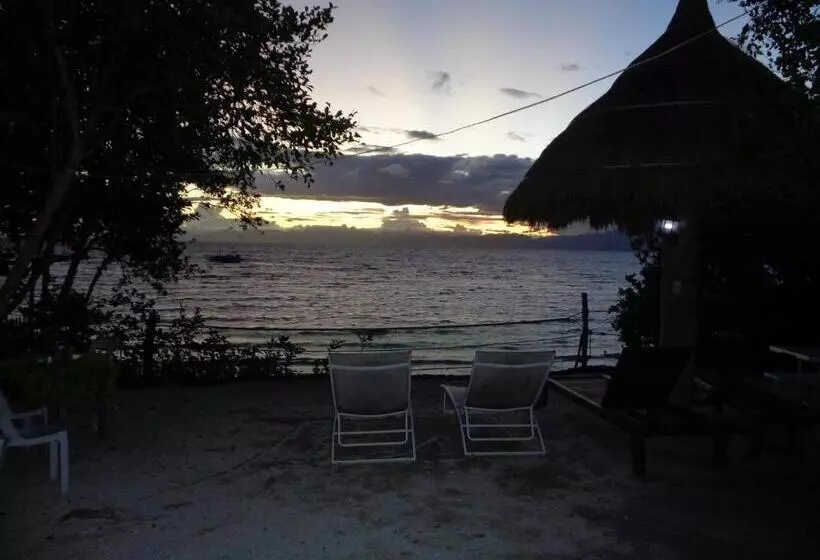 ホテル Sea Turtle House