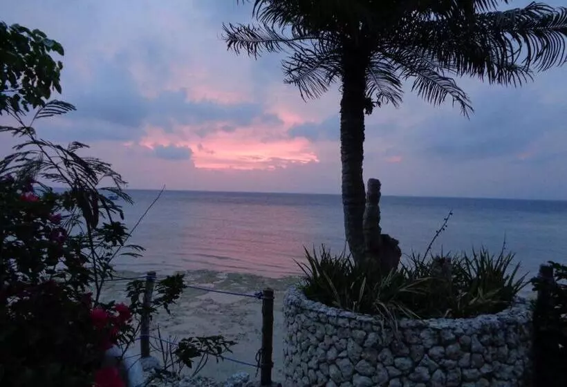 ホテル Sea Turtle House