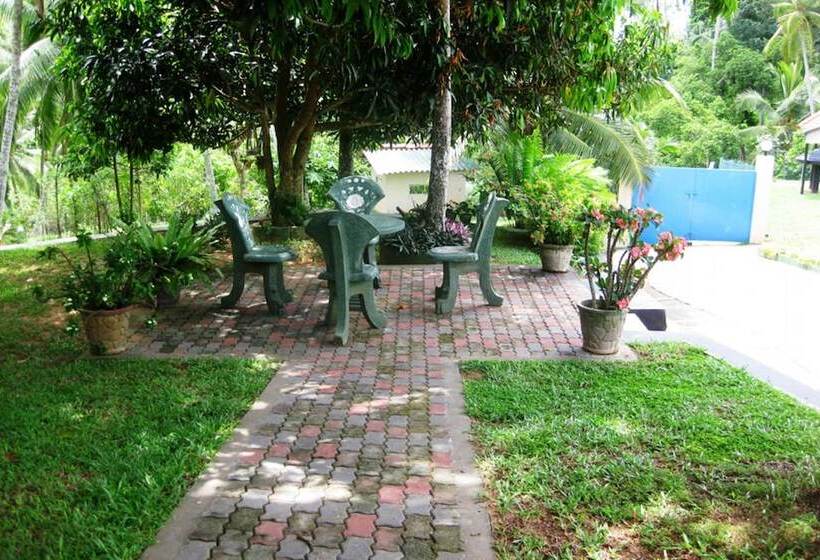 בית מלון כפרי The Hilltop Boosa