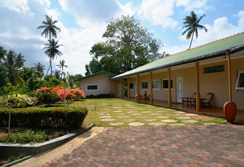 בית מלון כפרי The Hilltop Boosa