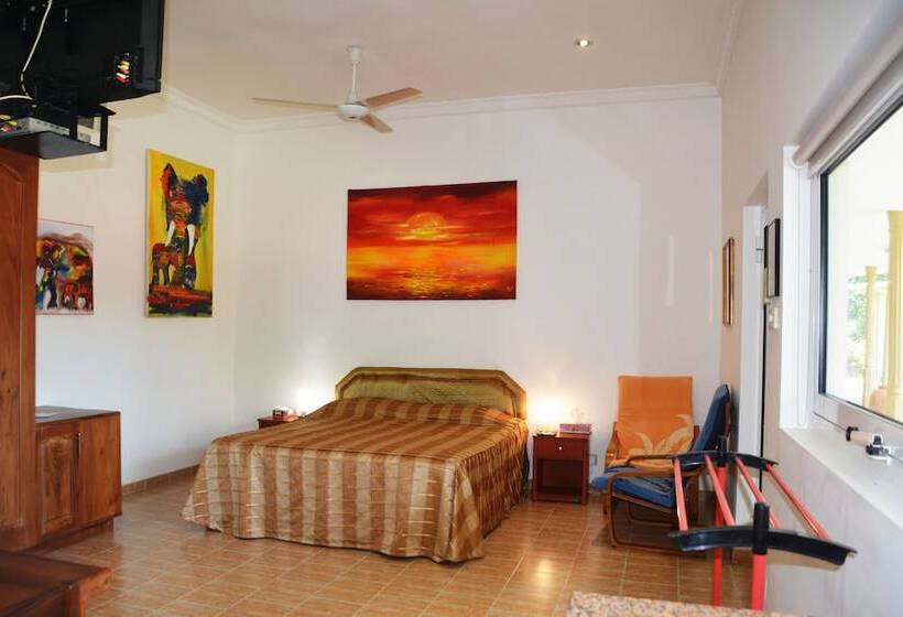 בית מלון כפרי The Hilltop Boosa