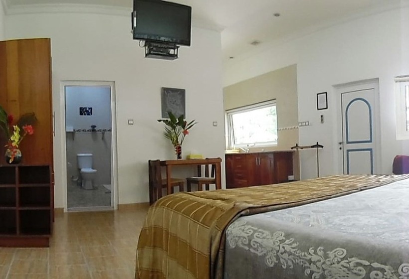 בית מלון כפרי The Hilltop Boosa